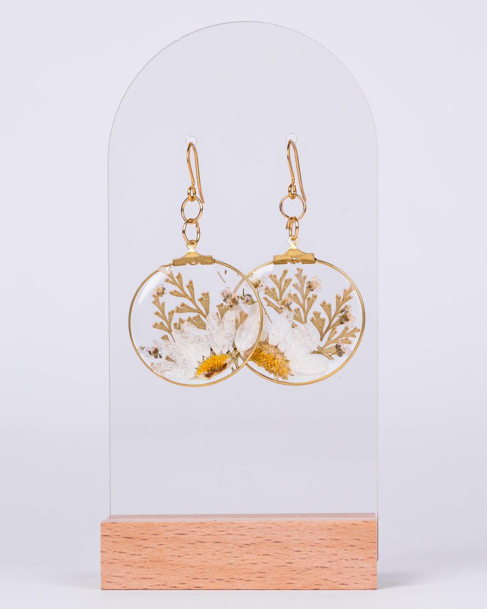 Handmade gold-plated round earrings with real white daisy flowers preserved in clear resin – floral personalised jewellery made in Australia.