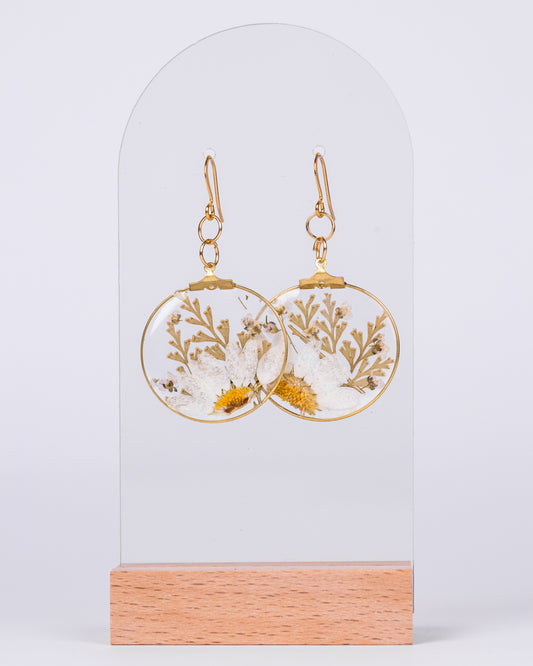 Handmade gold-plated round earrings with real white daisy flowers preserved in clear resin – floral personalised jewellery made in Australia.