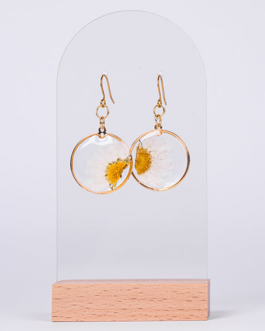 Handmade gold-plated jewellery set with real daisy flowers in resin – necklace and earrings gift set crafted in Australia.