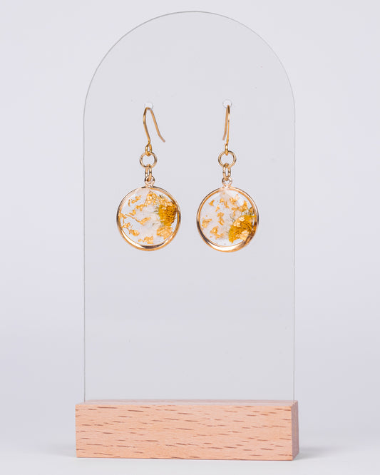 Handmade gold-plated small round earrings with real daisy flowers and gold accents – floral resin jewellery from Australia.

